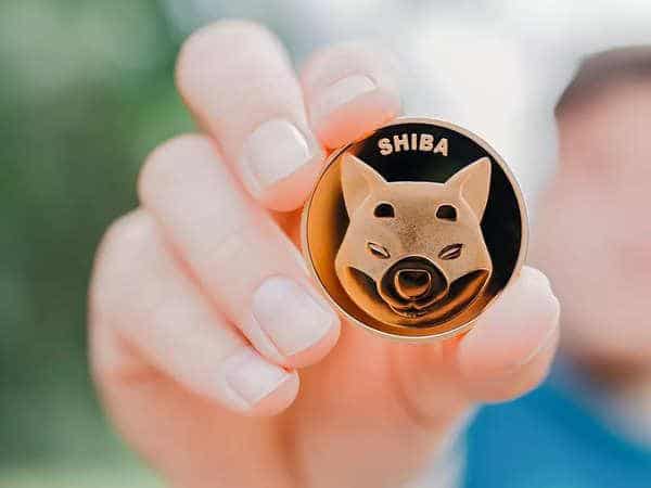 Is Shiba Inu Coin A Better Investment Than Dogecoin