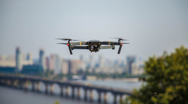 drone popularity for business