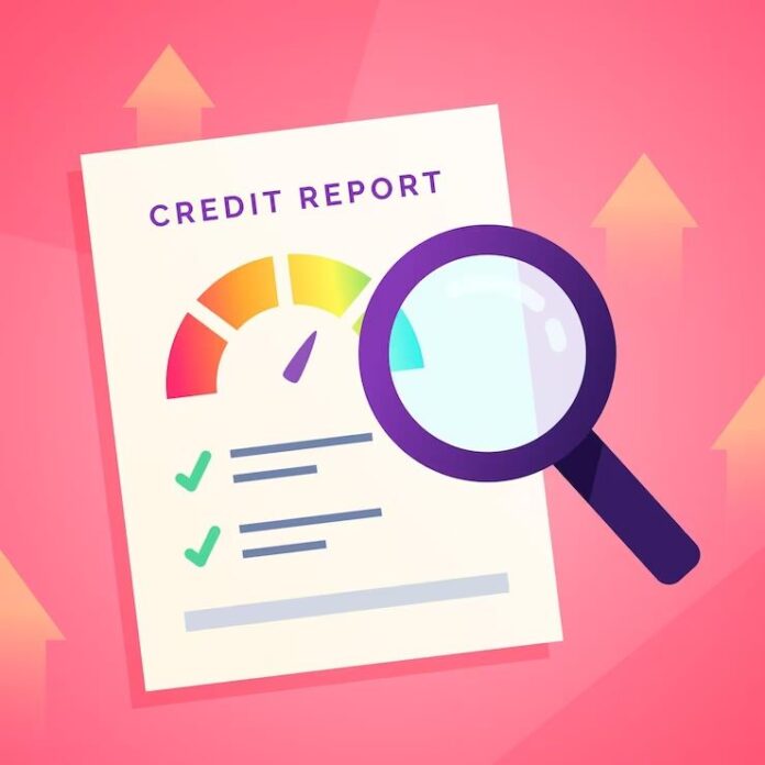 Role of Data Furnishers in Credit Reporting